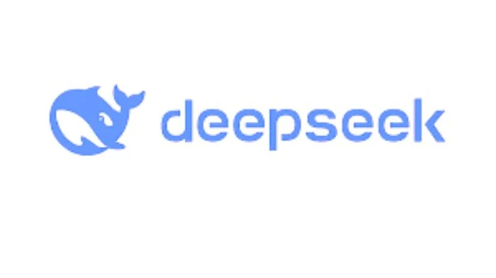 چت دیپ سیک ChatDeepSeek معرفی و نحوه ثبت نام