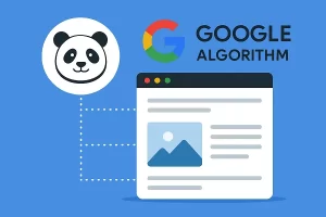 The impact of Google algorithms on the site الگوریتم های گوگل، سئو، پاندا، پنگوئن، رنک برین، سئو سایت